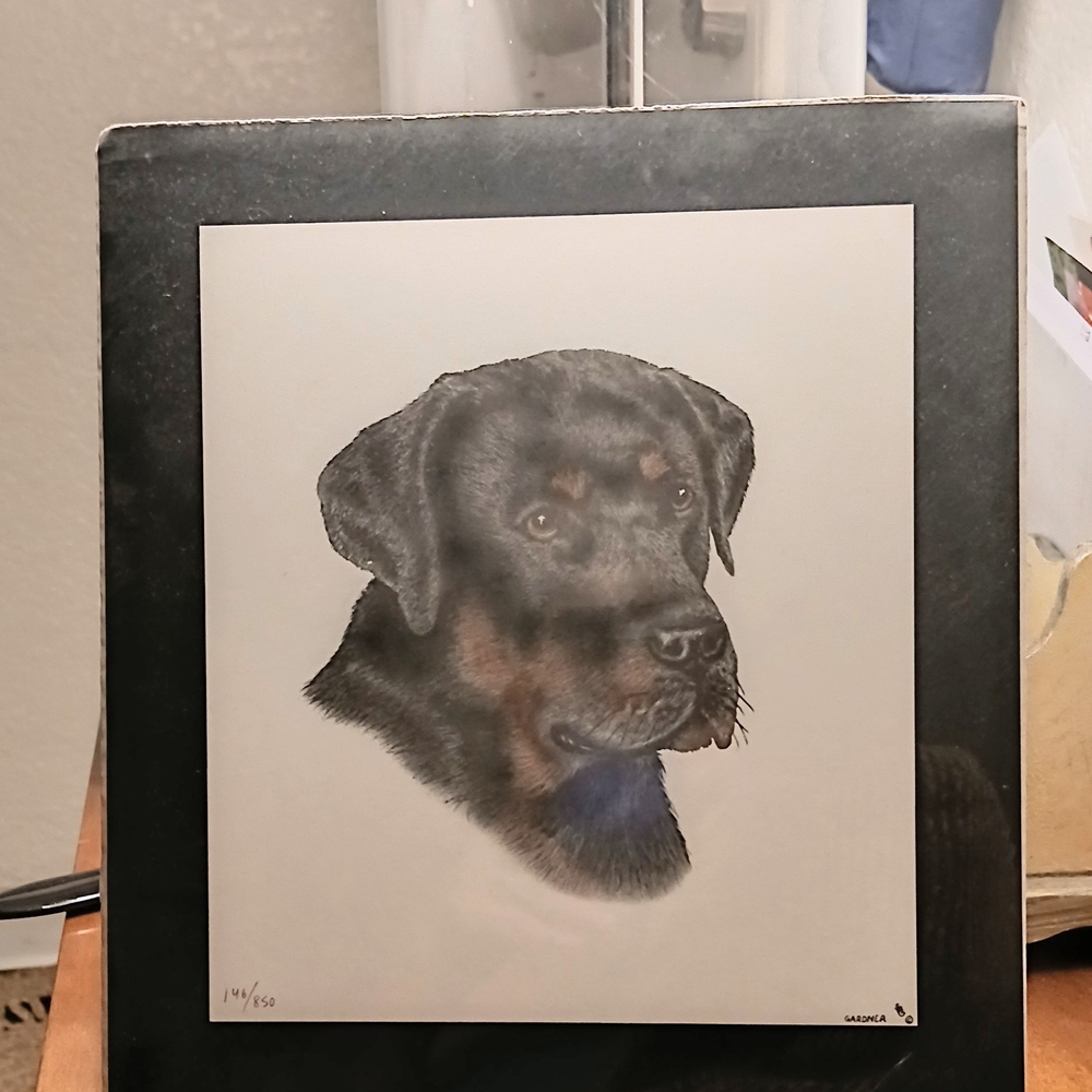 Steven M. Gardner Labrador Retriever Realistic Art Print